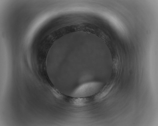X0000111580527200907231238