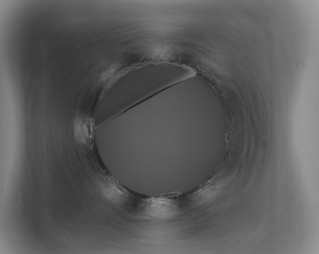 X0000111580528200907231238