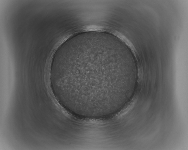 X0000111580529200907231237