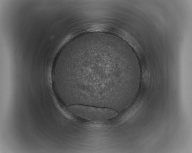 X0000111580530200907231237