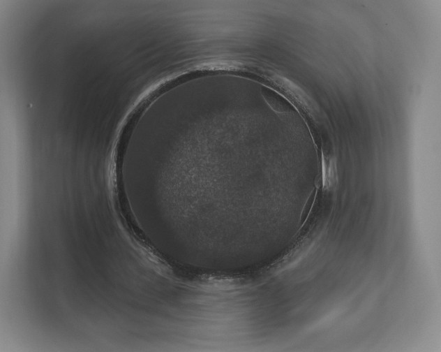 X0000111580531200907231237