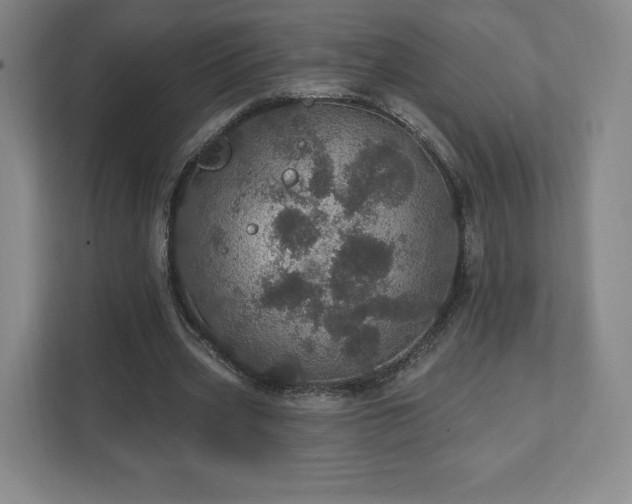 X0000111580533200907231237