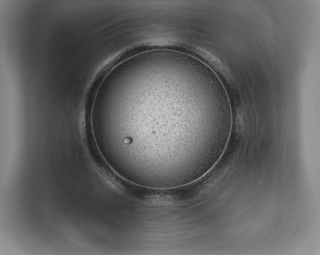 X0000111580535200907231237