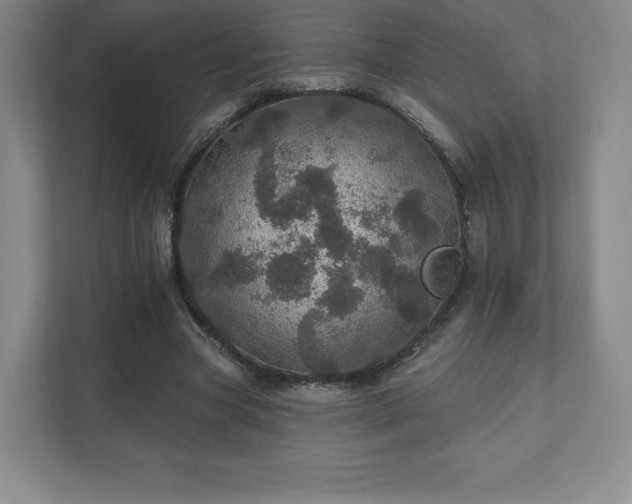 X0000111580537200907231237