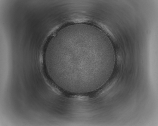 X0000111580539200907231237