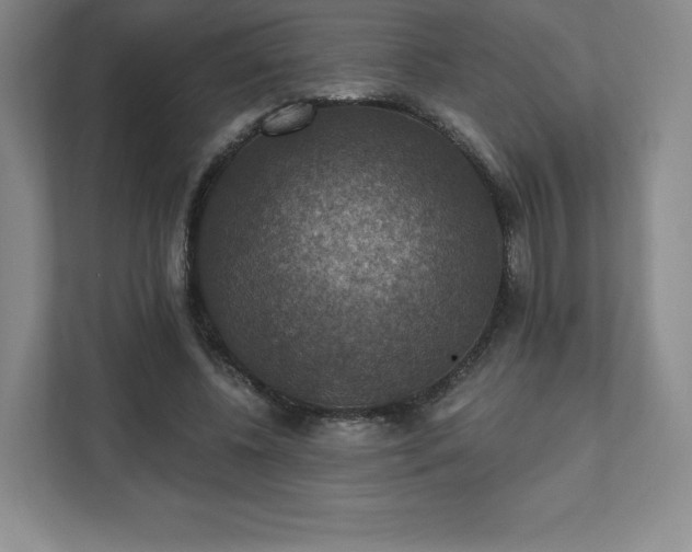 X0000111580540200907231237