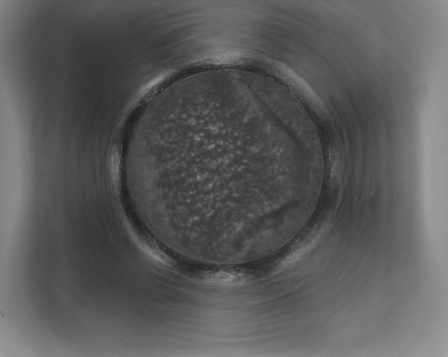 X0000111580542200907231237
