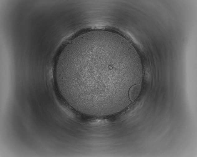 X0000111580543200907231237