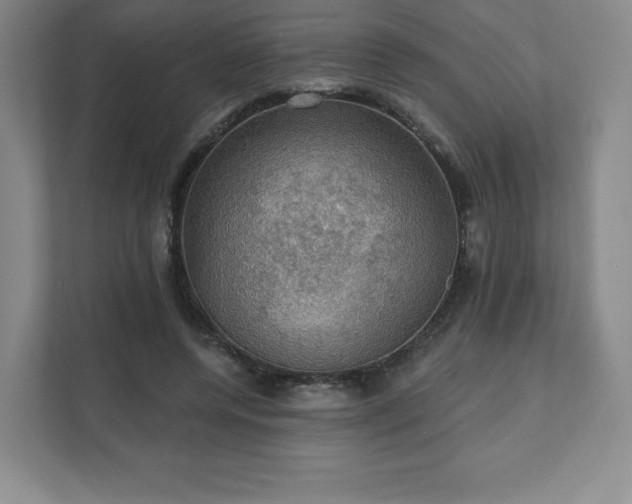 X0000111580544200907231237
