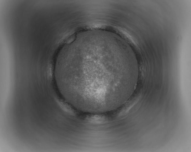 X0000111580546200907231237