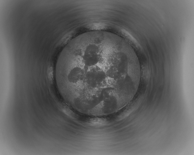 X0000111580549200907231237