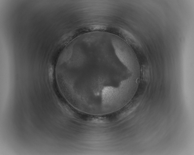 X0000111580550200907231237