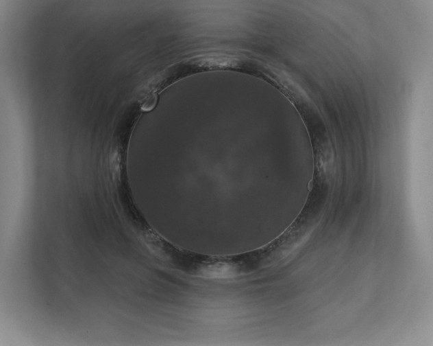 X0000111580551200907231237