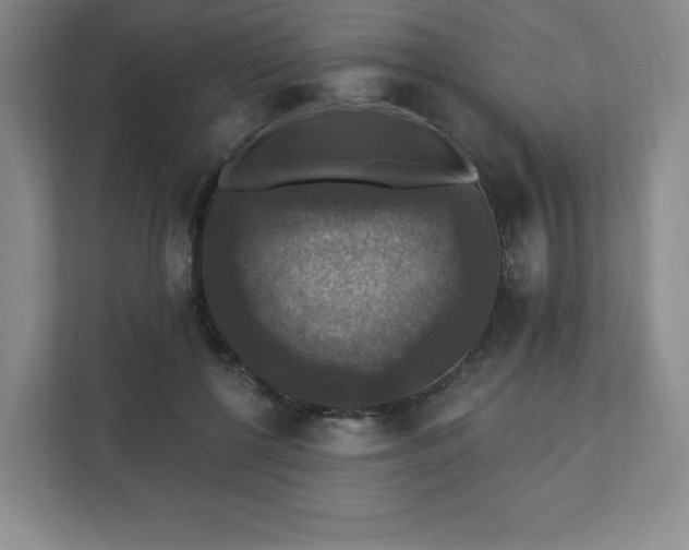 X0000111580552200907231237