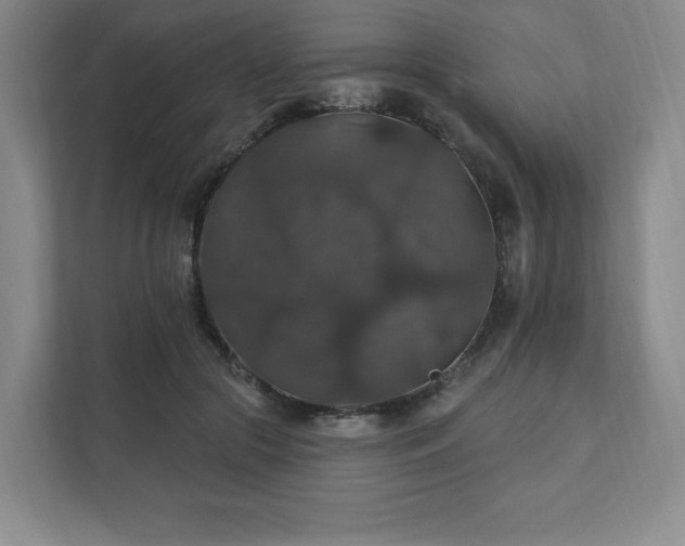 X0000111580553200907231237