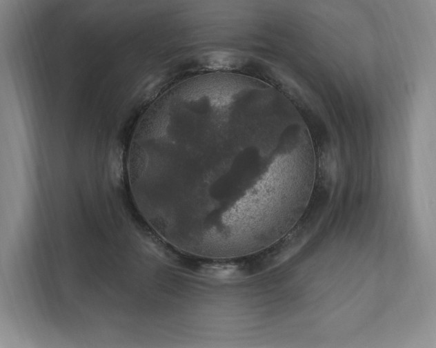X0000111580554200907231237
