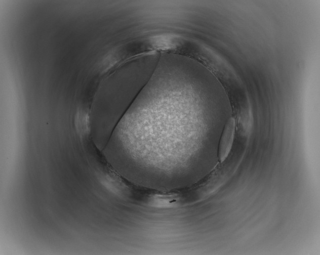 X0000111580556200907231237