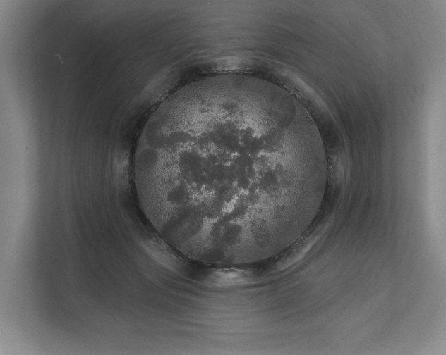 X0000111580557200907231237