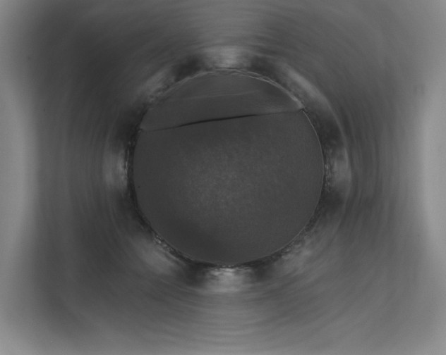 X0000111580558200907231237