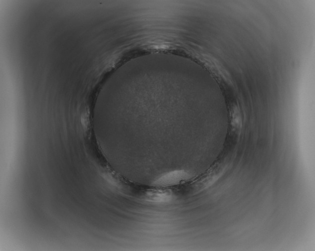 X0000111580559200907231237