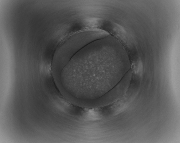 X0000111580564200907231237