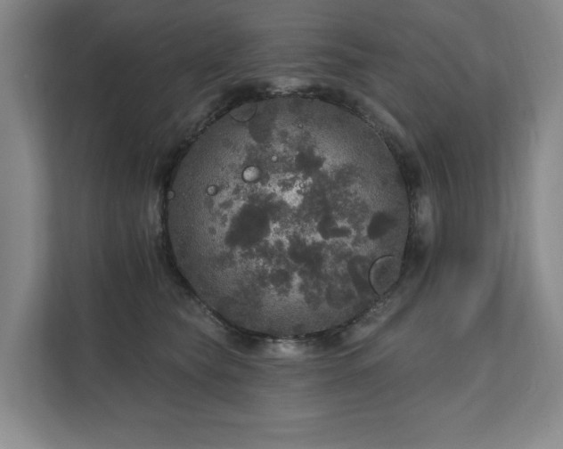 X0000111580565200907231238