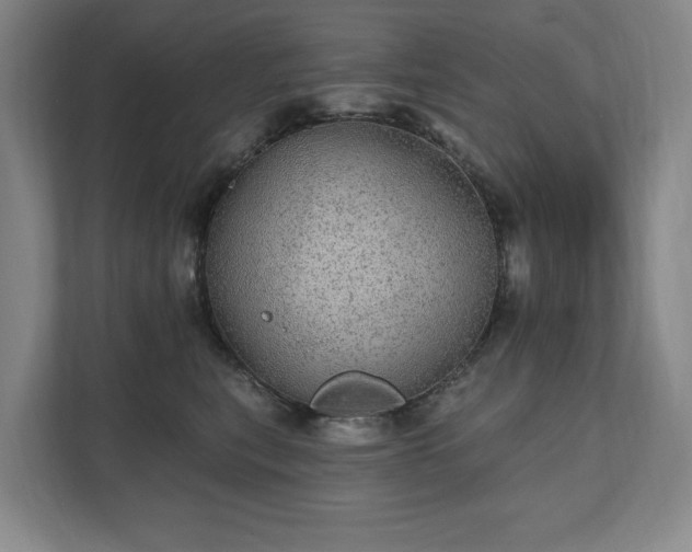 X0000111580567200907231238