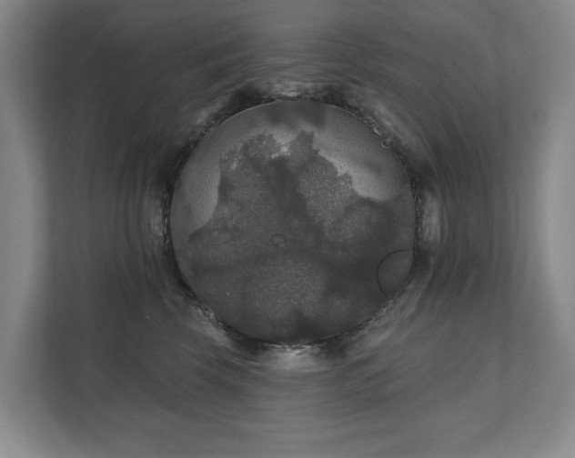 X0000111580569200907231238