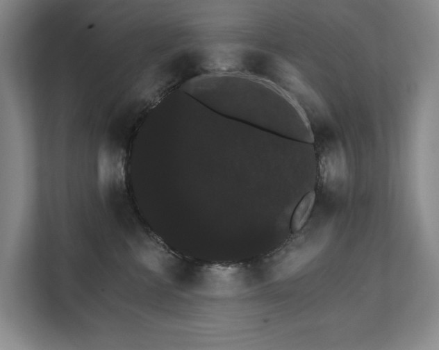 X0000111580570200907231238