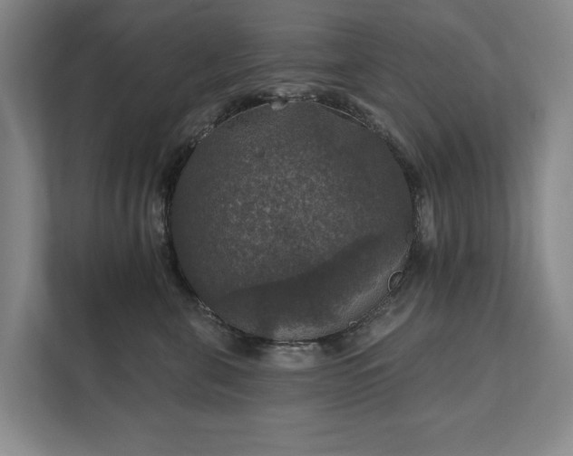 X0000111580571200907231238