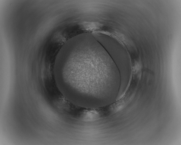 X0000111580572200907231238