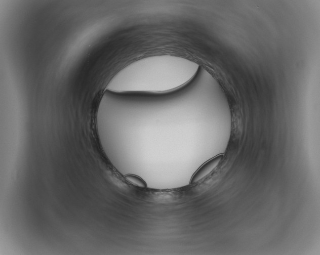 X0000111580574200907231238