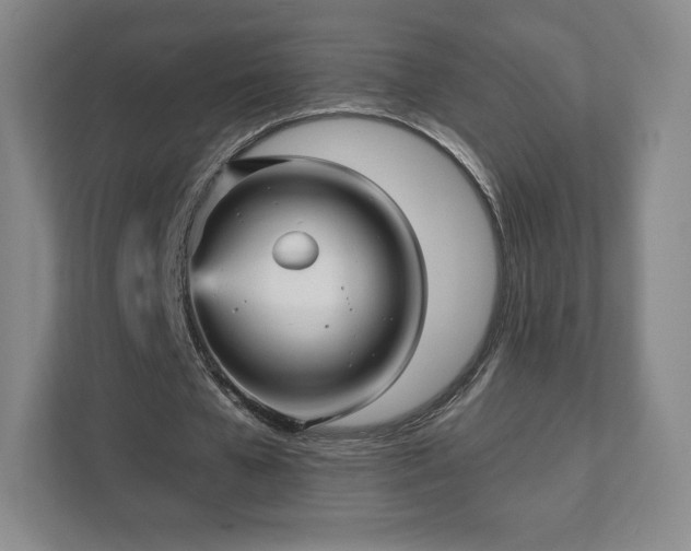 X0000111580577200907231237