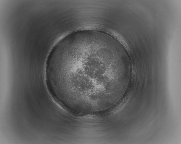 X0000111580578200907231237