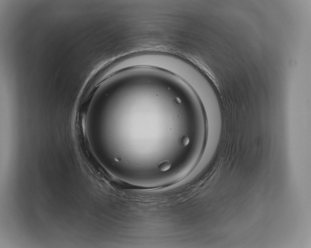 X0000111580579200907231237