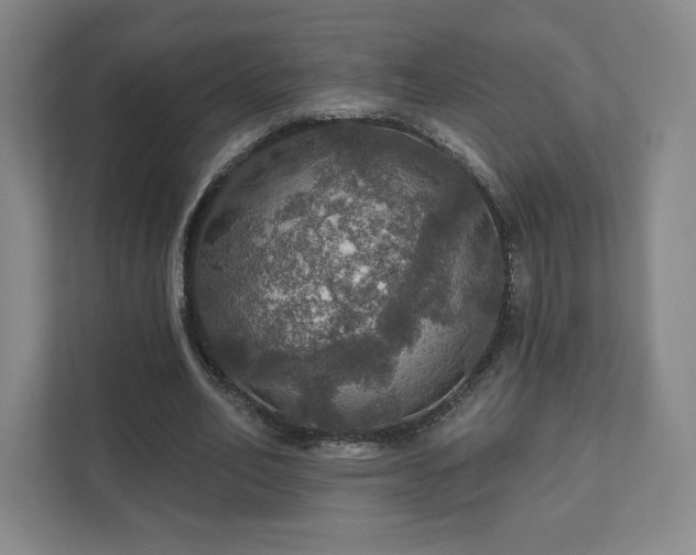 X0000111580582200907231237
