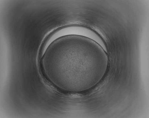 X0000111580583200907231237