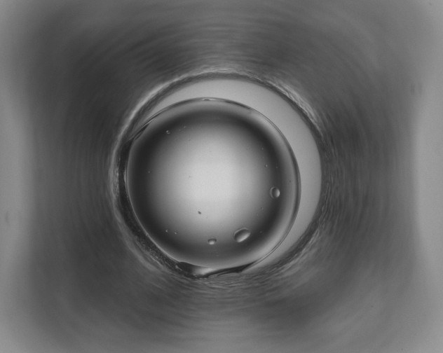 X0000111580584200907231237