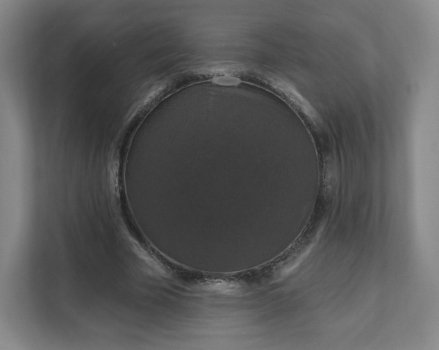 X0000111580585200907231237