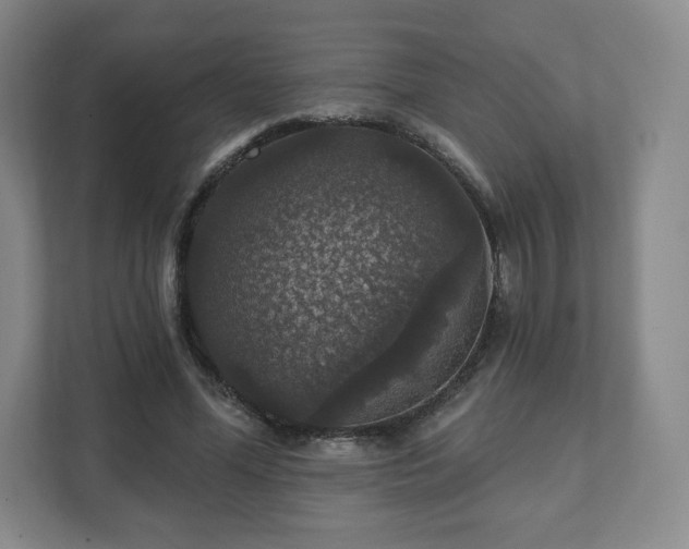 X0000111580588200907231237
