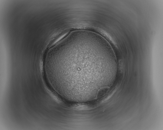 X0000111580589200907231237