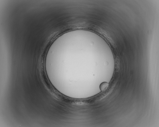 X0000111580590200907231237