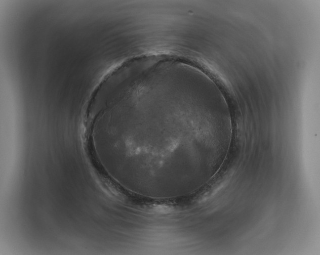 X0000111580592200907231237