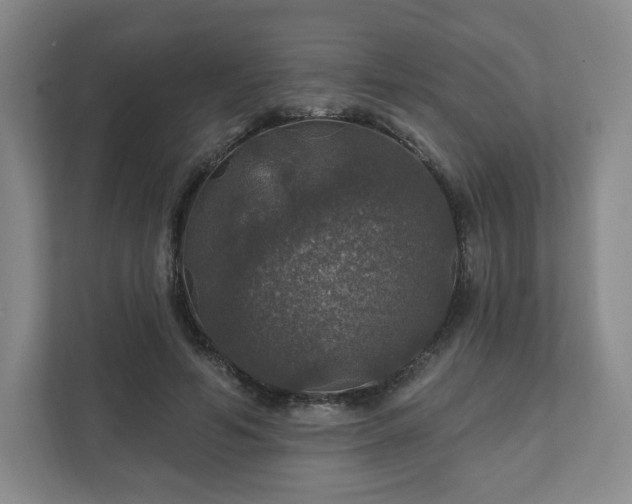 X0000111580594200907231237