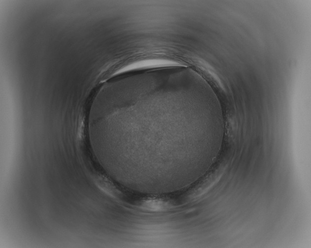 X0000111580596200907231237