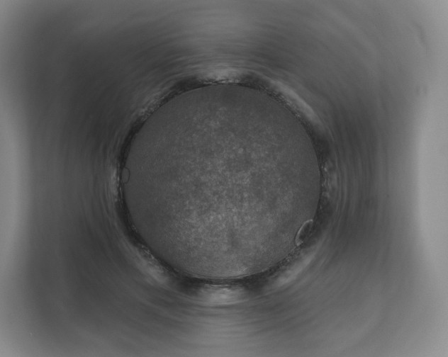 X0000111580597200907231237