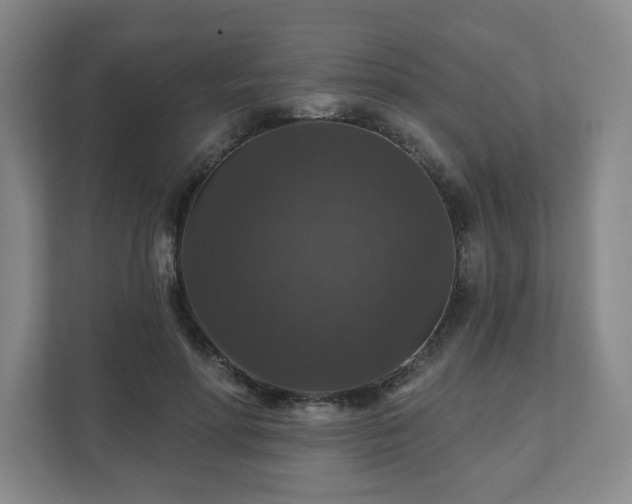 X0000111580598200907231237