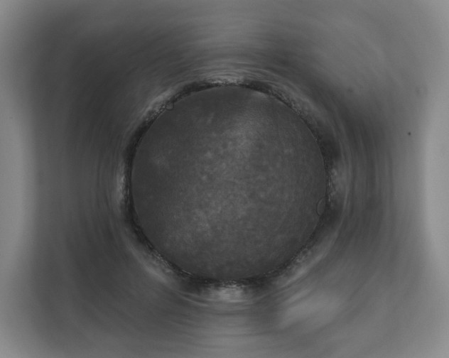 X0000111580600200907231237