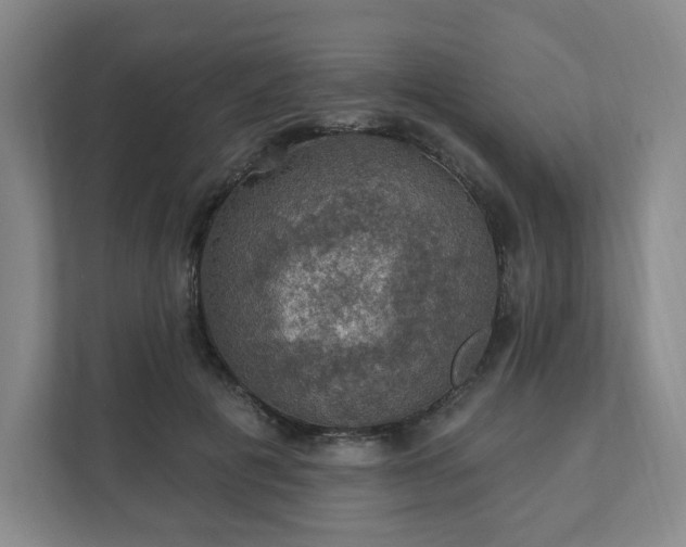 X0000111580601200907231237