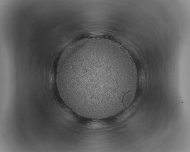 X0000111580608200907231237